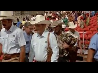 одинокий волк