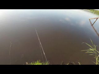 Нанофишинг. Nano Fishing