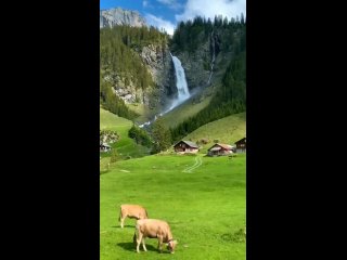 hiddeninthewood on Instagram_ Would you live in this Swiss ----mountain village__ Just close imagine waking up to this view_ Tag