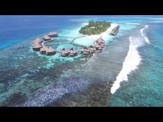 Mirihi Island Resort, Мальдивы 🇲🇻 - остров миллионеров 💵
⠀
Остров-курорт является одним из самых небольших на Мальдивах, его раз