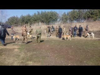 Малоархангельская р-ная выставка рг выжловки ср. группа