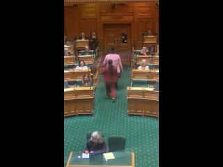 В Новой Зеландии депутат-абориген разозлился на других политиков и выразил свой гнев в ритуальном танце.