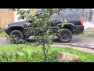 Перетягивание каната Audi vs Jeep gthtnzubdfybt rfyfnf audi vs jeep