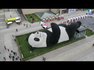 Скульптура гигантской панды появилась в Дуцзянъяне