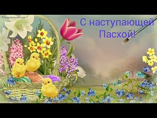 НЛО-Позитив-школа 34tan video