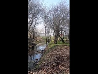 Видео от МАОУ гимназия №40 имени Ю.А. Гагарина