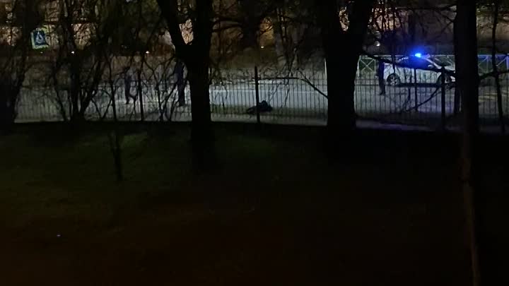 В 2 часа ночи, в Пушкине на Госпитальной улице 24, в школу №500 влетел парень на тёмном автомобиле, ...