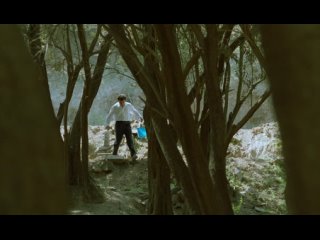 Through the Olive Trees (Kiarostami, 1994)