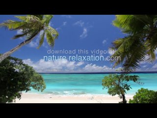 Perfect Paradise  (Part II) HD Nature Relaxation Video 1 Hour 1080p Digital Download or Blu-Ray DVD