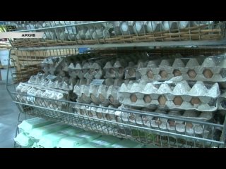 В Курске объяснили рост цен на куриные яйца