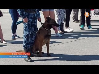 Доблестные четырёхлапые сотрудники правопорядка показали свои способности