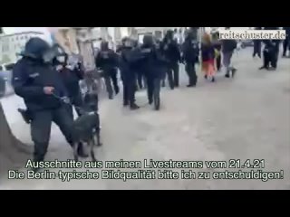 Mit Fäusten gegen die Demokratie – so brutal geht Berlins Polizei gegen Demonstranten vor