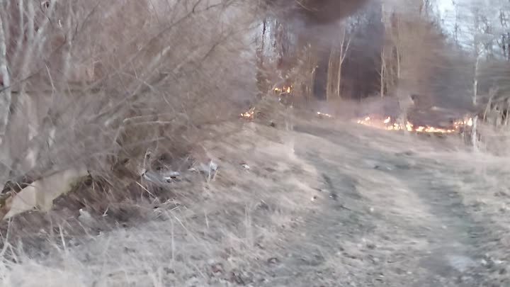 В Пушкине на пустыре по адресу Сапёрная 63 сегодня вечером горела свалка покрышек и другого мусора.