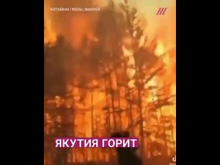 Video by Alexander Budnikov
