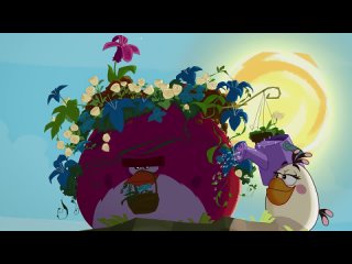 [Angry Birds] Angry Birds Toons Compilation | Season 1 All Episodes Mashup