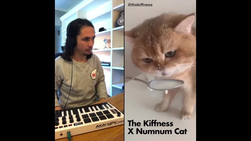 The Kiffness X NumNum Cat