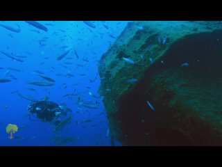 Подводный Мир — Underwater world (relax)