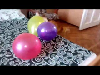 День рождения, страшные шарики и обалденная мышь