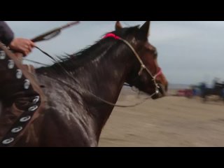 В Туве открылся сезон конных скачек