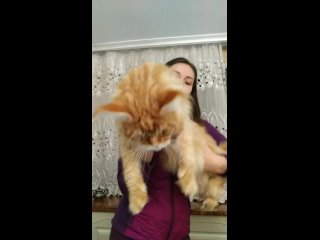 Vídeo de Alina Meinkunova