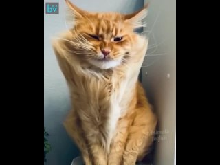 Какой мужчина