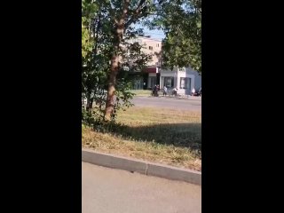 Перебегавших через дорогу полицейских с детьми сняли на видео тагильчане