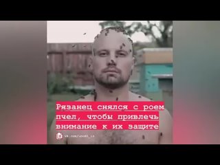 🐝 Рязанец Дмитрий Анохин опубликовал видео, на котором его тело покрыто пчелами. Ролик размещен в соцсети «ВКонтакте». По словам