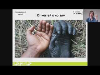 Video by Московский зоопарк / Moscow zoo