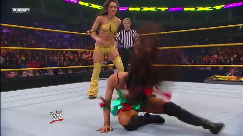Brie Bella (w/Nikki Bella) vs AJ (w/Primo)