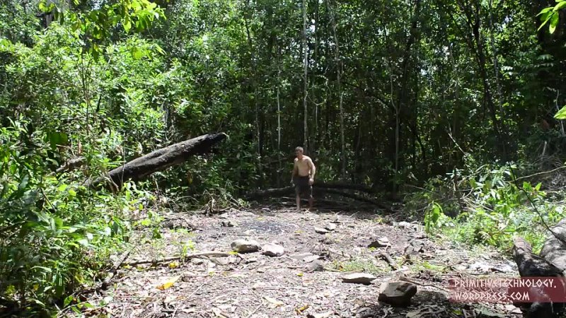 Primitive Technology: Planting Cassava and