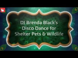 DJ BRENDA BLACK PRESENTS