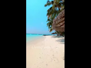 🇲🇻 Курортный отель Kurumba Maldives расположен на частном тропическом острове атолла Северный Мале, в окружении прекрасных пляже