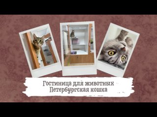 Гостиница для животных «Петербургская кошка»
