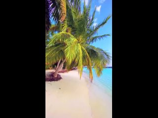 🇲🇻 Kurumba Maldives – курорт полный сюрпризов, активного отдыха, развлечений и радостных лиц.

🎵 Zwette Feat. Tom Rosenthal - Go