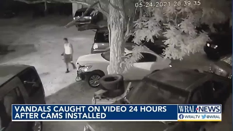 Vandals captured on security camera at Spring Lake auto