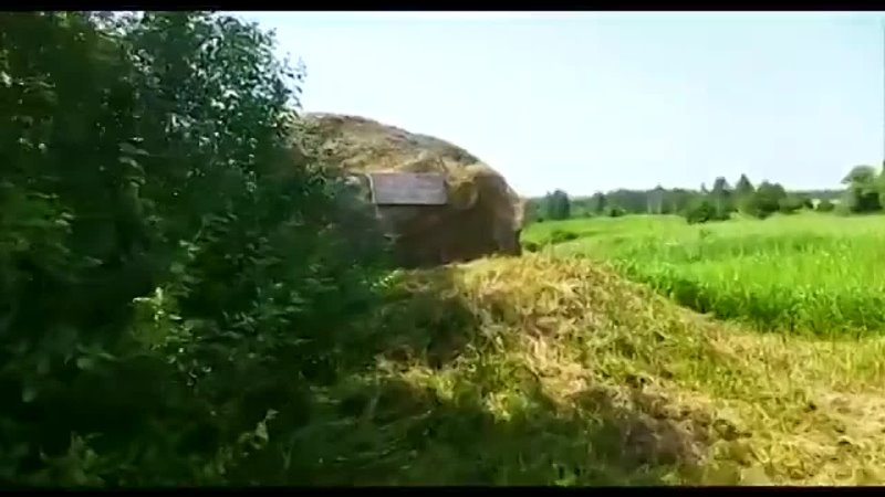 Орловский полицейский снял видеоролик про убитую деревню в