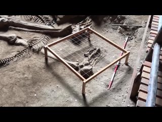Гигантский человеческий скелет, найденный в пещере Као Кханап Нам. (720p).mp4