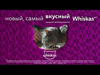 [Whiskas® Russia] Обновлённый WHISKAS® - 100% мурр