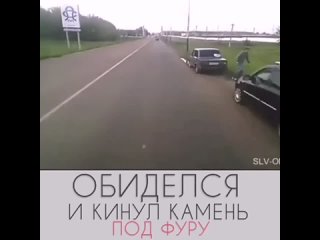 Бросил камень под фуру..