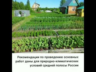 Энциклопедия Садовода и огородника