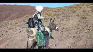 A Horny Village Girl Merciless Donkey Journey - Highlights By Changeez Chaan