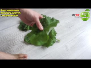 Компресс от пяточной шпоры из листьев лопуха (Репейника)