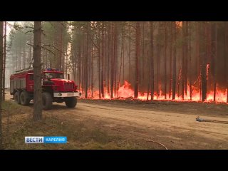 В Карелии из-за пожаров эвакуировали население поселка Найстенъярви