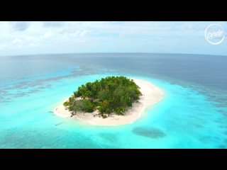 Monolink | Live at Gaatafushi Island, in the Maldives