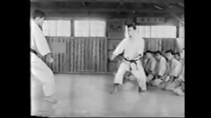 Hidetaka Nishiyama, Karate Do Shotokan