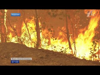 В Карелии лесные пожары удалось остановить на подступах к нескольким поселкам