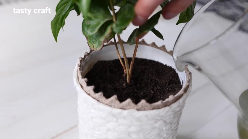 DIY flower POT. Pot Decoration Ideas. Best out of waste baking paper