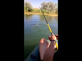 видео любительская рыбалка летом