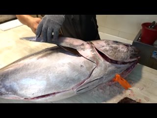 [Terry Films] Bigeye Tuna Cutting Skill / 大目鮪魚切割技能 - How to Cut a Bigeye Tuna for Sashimi