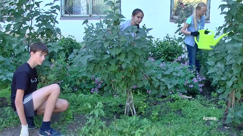 Летние каникулы с пользой